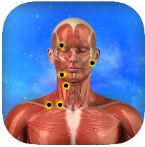 Massage Trigger Points App on iTunes